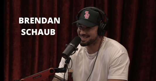 jre podcast with brendan schaub