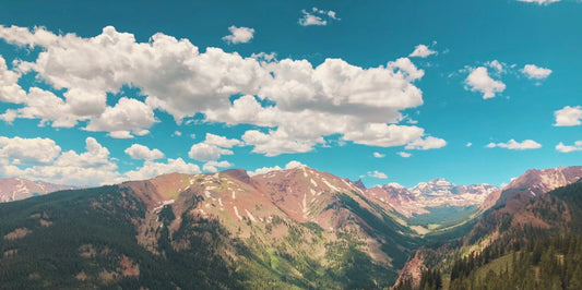 Mental Health Check: Finding Balance