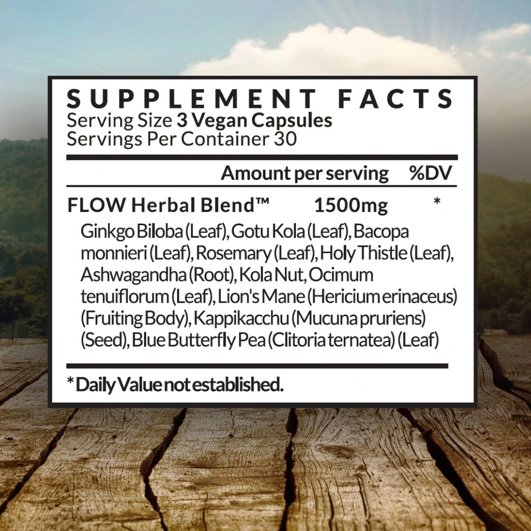 FLOW - Brain Fuel