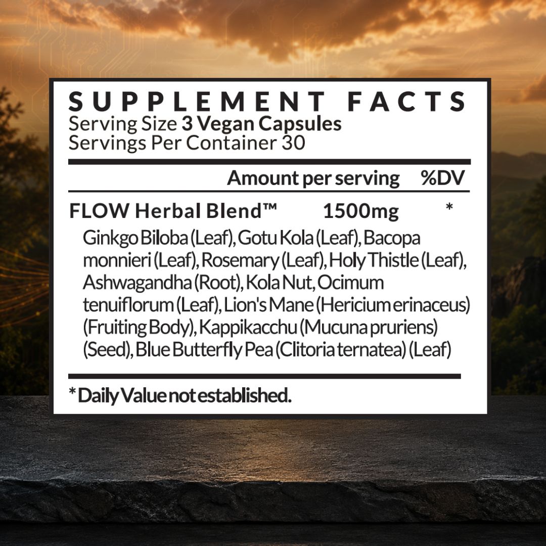 FLOW - Brain Food