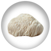 Lion's Mane