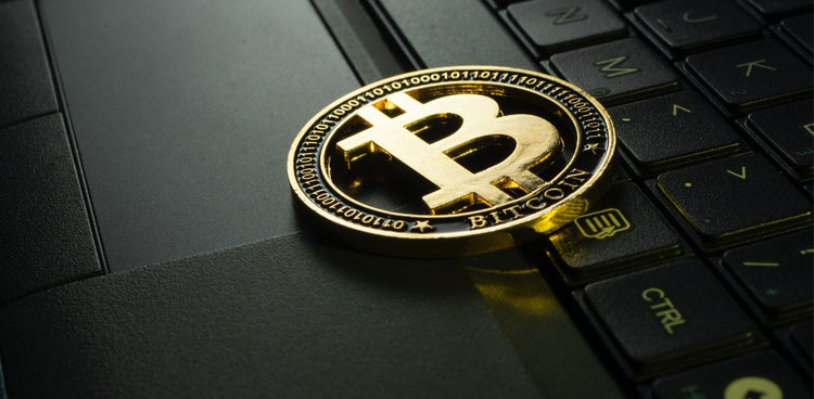 5-Coding-Languages-for-Crypto-Enthusiasts