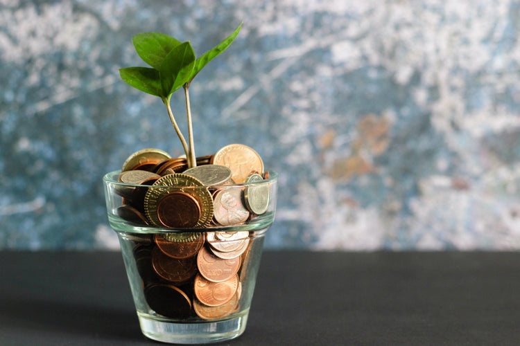 The 50/30/20 Budget Rule
