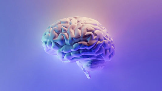 Fortify Your Mind