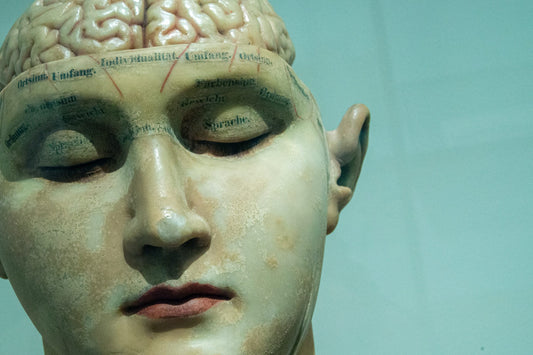 mind brain genius