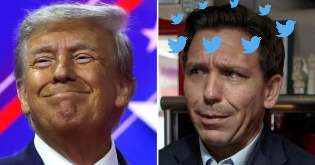 Desantis reeling after failure to launch with Twitter birds flying around his head. Trump smiling.