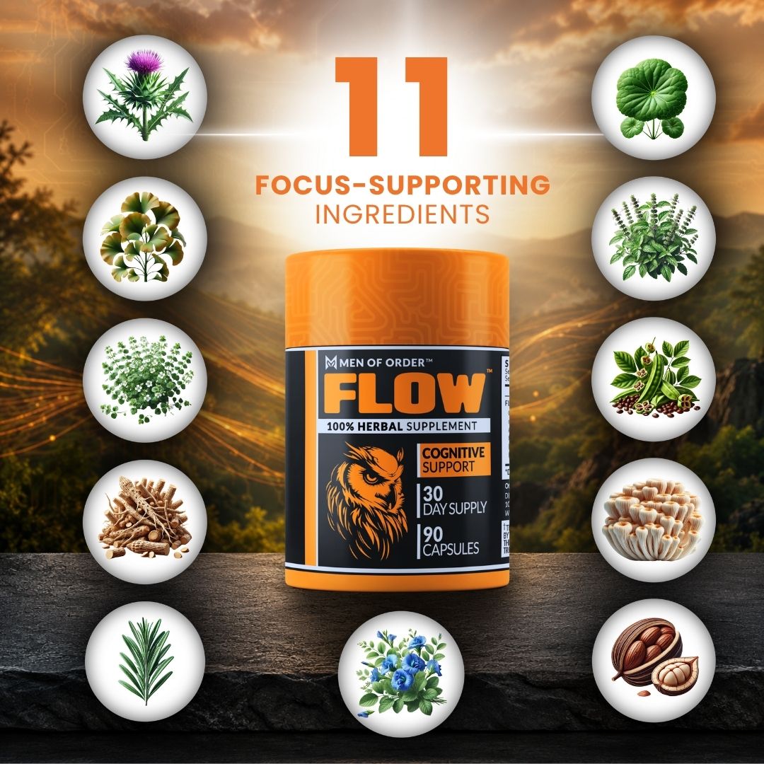 FLOW - Brain Fuel