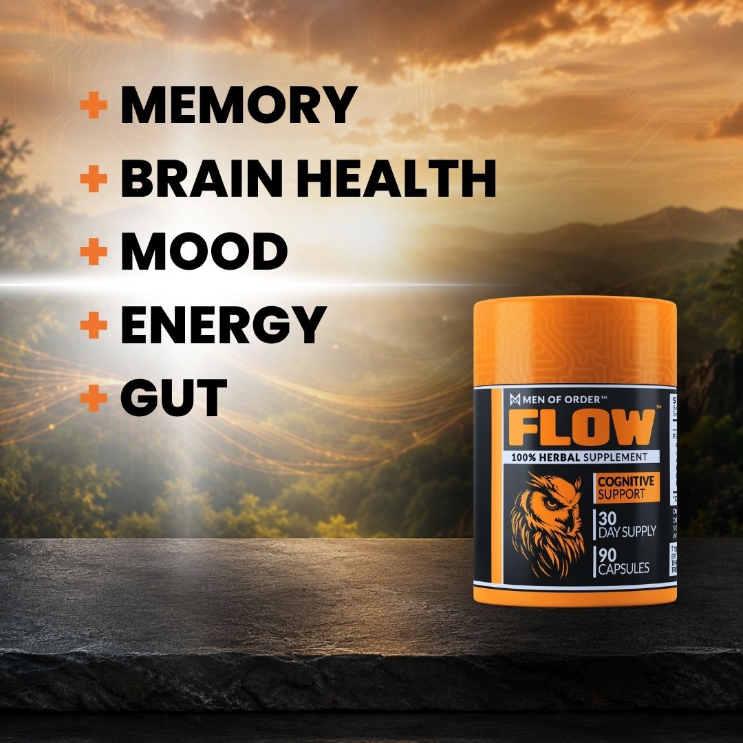 FLOW - Brain Fuel
