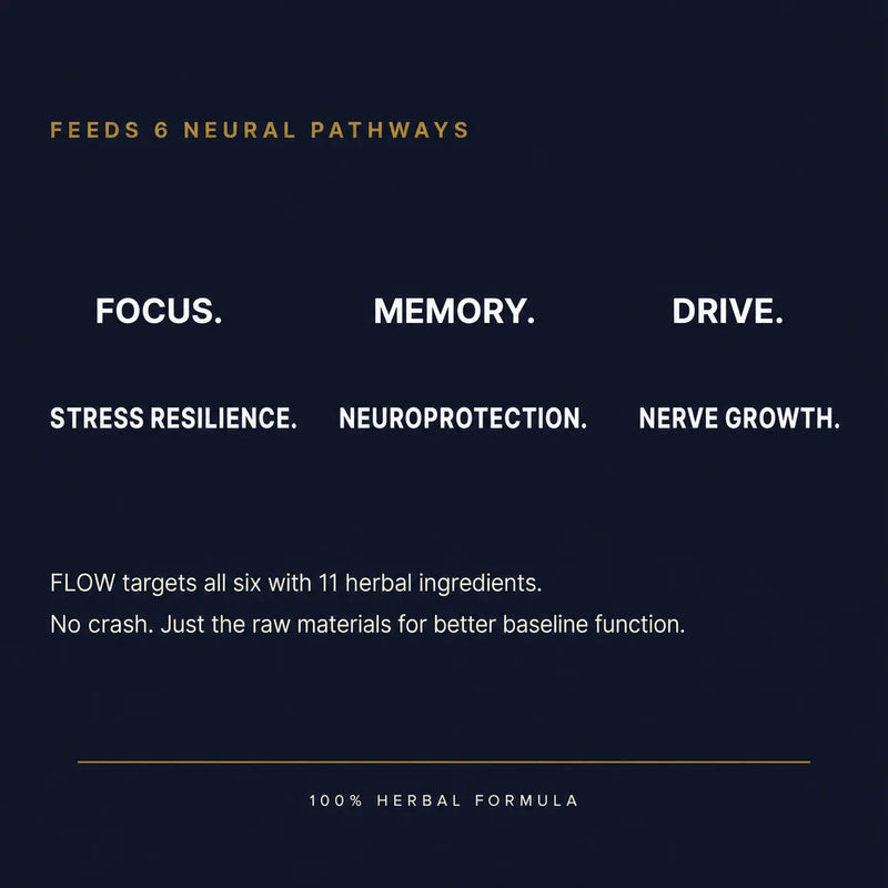 FLOW - Nootropic