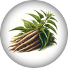 Nettle Root