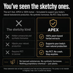 Comparison infographic titled "You've seen the sketchy ones." Left column lists typical sketchy testosterone pills: hidden compounds, synthetic hormones, and PCT required. Right column shows APEX: 100% plant-based herbal extracts that support the body's natural testosterone production, with no PCT, no crash, and safe to stop anytime. No banned substances or synthetic hormones. — thumbnail 11