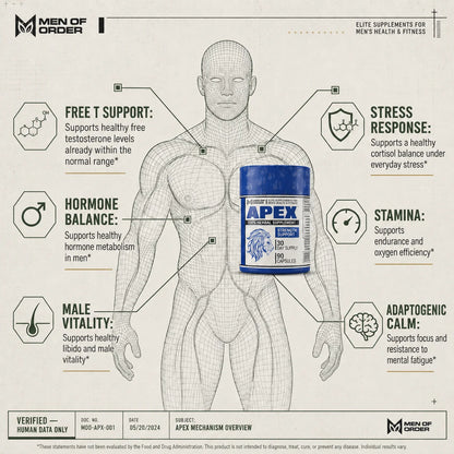 How APEX testosterone supplement works: a botanical formula that supports healthy free testosterone levels, hormone balance, male vitality and libido, cortisol balance under stress, endurance and oxygen efficiency, and focus under mental fatigue.