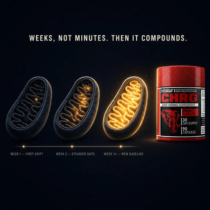 CHRG energy timeline: Week 1 first shift, Week 2 steadier days, Week 3+ new baseline — how this caffeine-free supplement builds energy gradually with no tolerance and no crash.