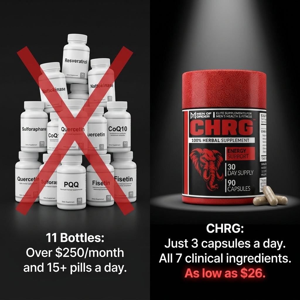 chrg energy support savings