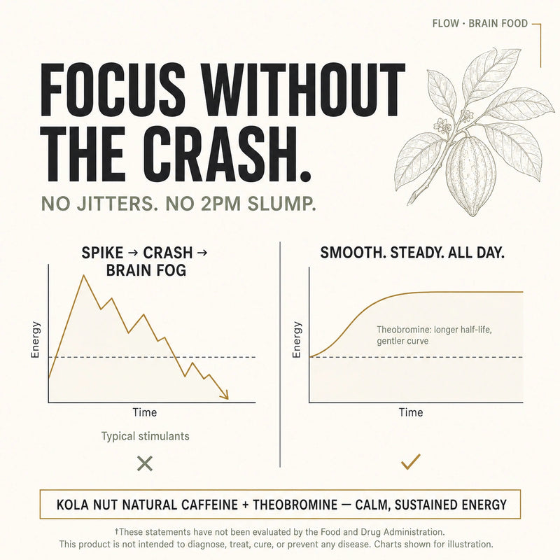 Comparison chart showing the spike-and-crash energy curve of coffee and energy drinks versus the smooth, steady all-day energy curve of FLOW nootropic with kola nut natural caffeine and theobromine