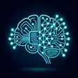 Memory Encoding & Recall