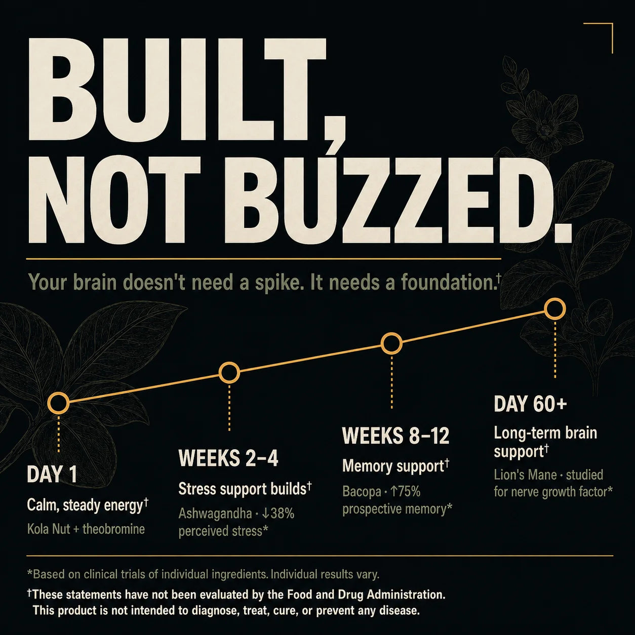 Nootropic supplement ingredient loading curve timeline showing FLOW's four-stage brain support: Day 1 calm steady energy from Kola Nut and theobromine, Weeks 2 to 4 stress support from Ashwagandha with 38 percent reduced perceived stress, Weeks 8 to 12 memory support from Bacopa with 75 percent improved prospective memory, and Day 60 plus long-term brain support from Lion's Mane studied for nerve growth factor. Based on clinical trials of individual ingredients.