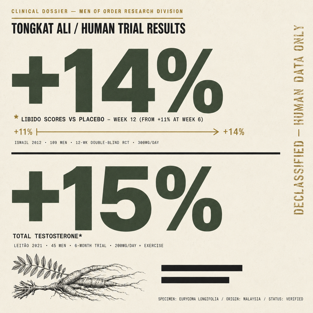 Human clinical trial results for Tongkat Ali (Eurycoma longifolia): libido scores improved from +11% at week 6 to +14% at week 12 versus placebo in a 12-week double-blind study of 109 men (Ismail 2012), and total testosterone increased 15% in a 6-month trial (Leitão 2021).