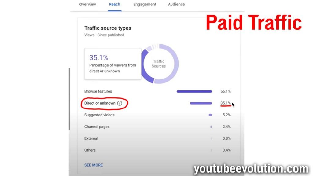Paid Source Type YouTube Traffic
