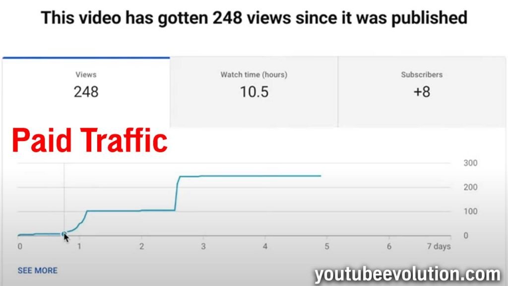 Paid YouTube Traffic